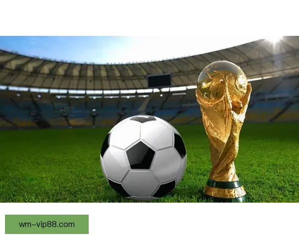 2026世界杯主办城市聚焦下的全球足球盛宴全景解析